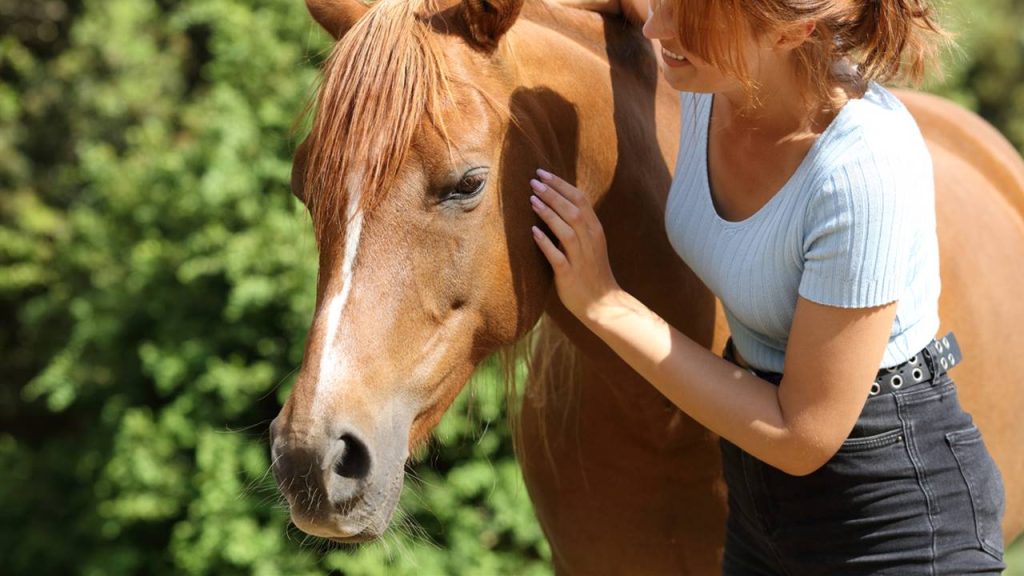 Equine therapy what it is and what it is for