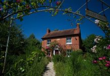 The origin of the Bach Flowers The origin of the Bach Flowers